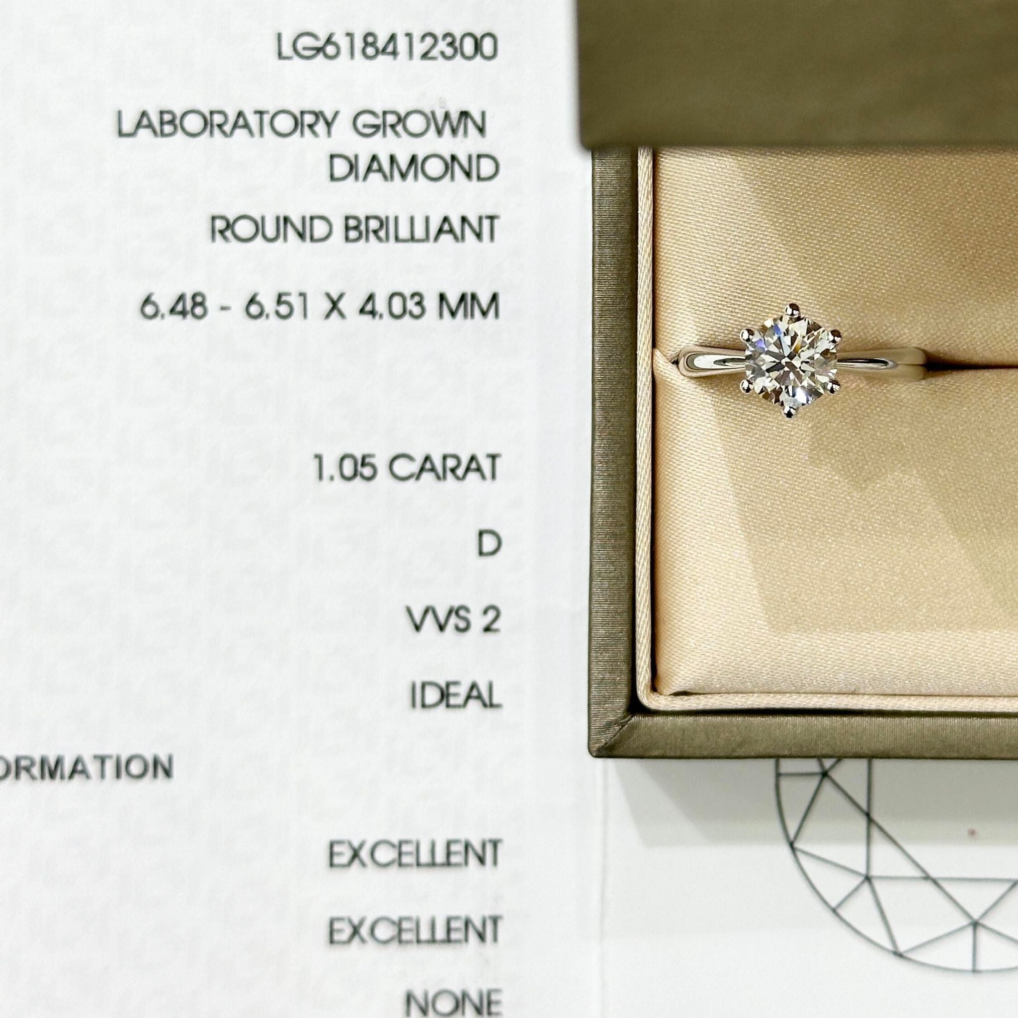 Fleurie Everlasting Classic Engagement Ring (RTS-2300)