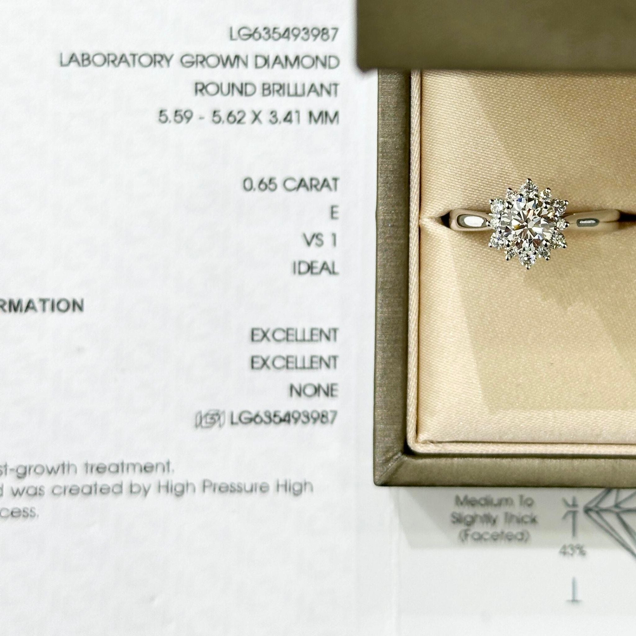 Laurie Embrace Pavé Engagement Ring (RTS-3987)