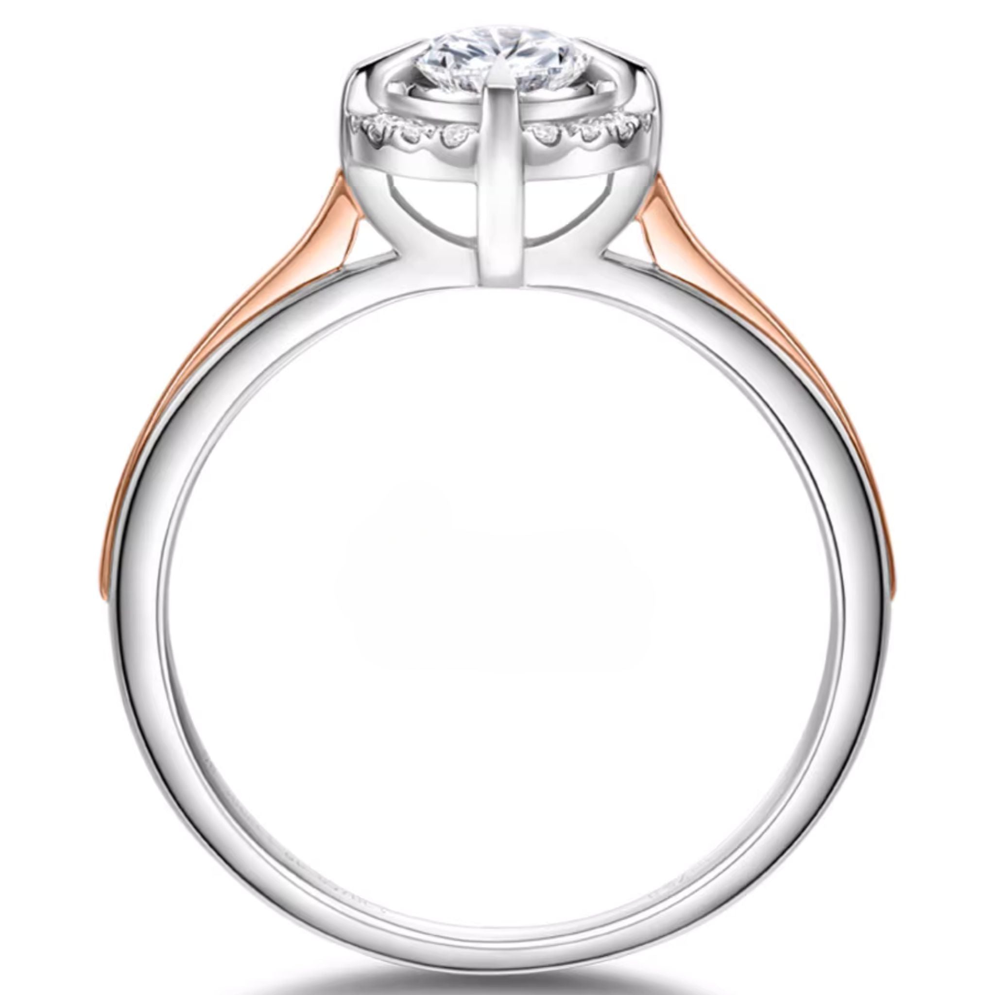 Strelitzia Halo Duo: 1 - Carat